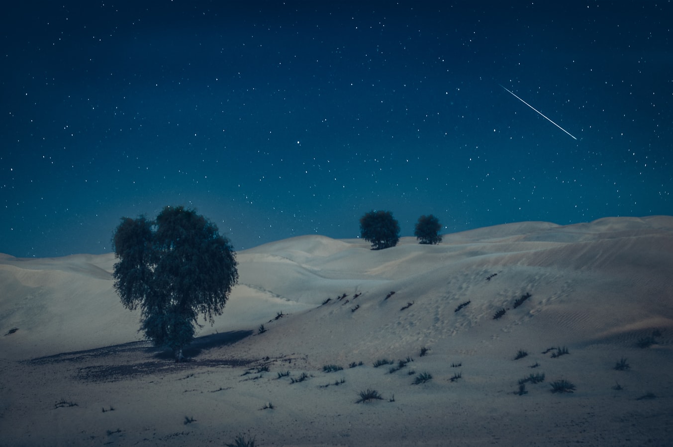 AEAUH Abu Dhabi Desert Shot by Cerqueira.jpeg