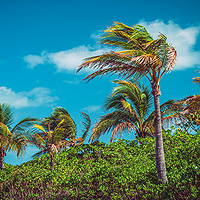 Castaway Cay