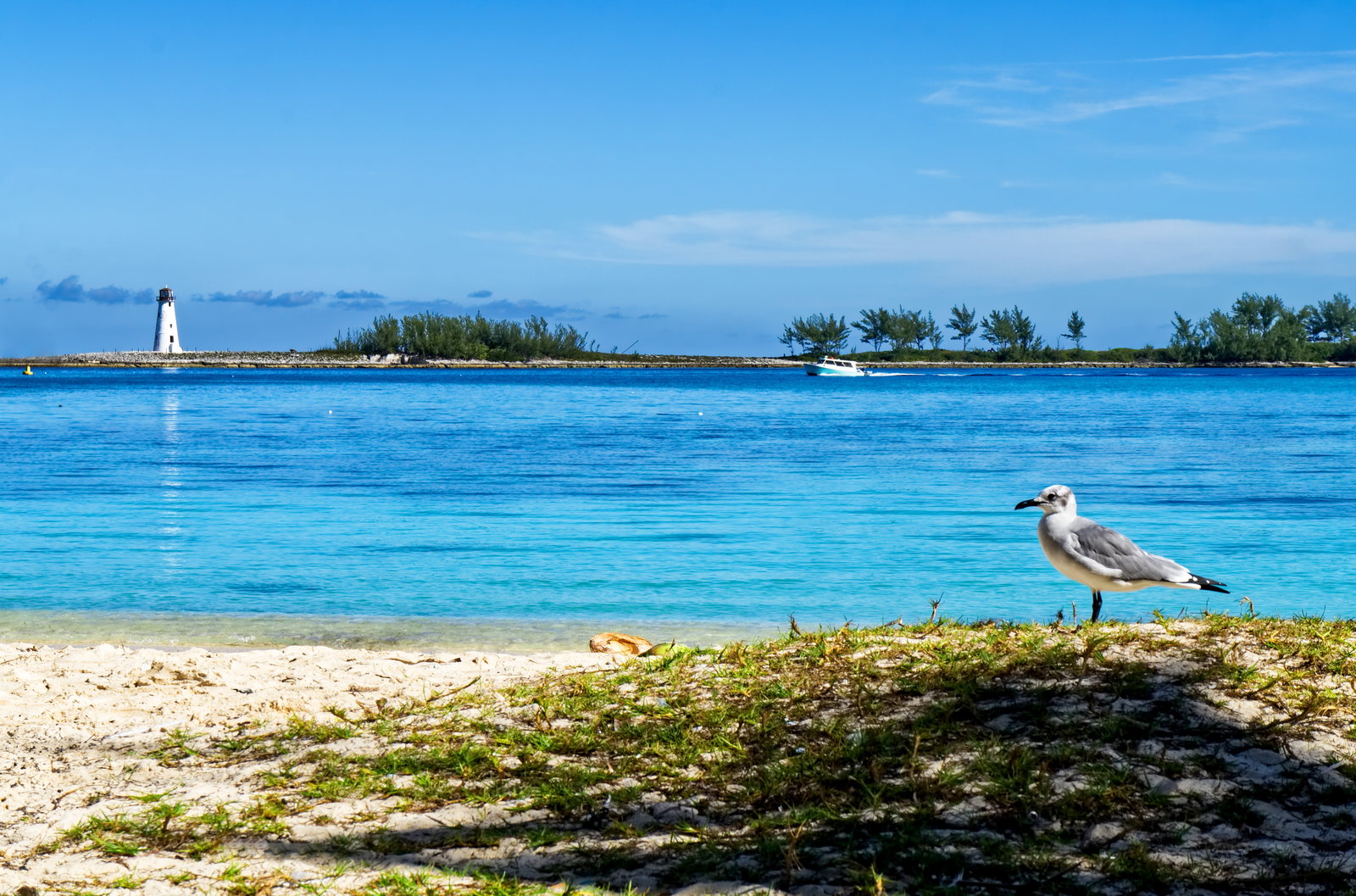 Nassau — BSNAS - Nassau - Nassau Harbor - Gregory Culmer.jpg