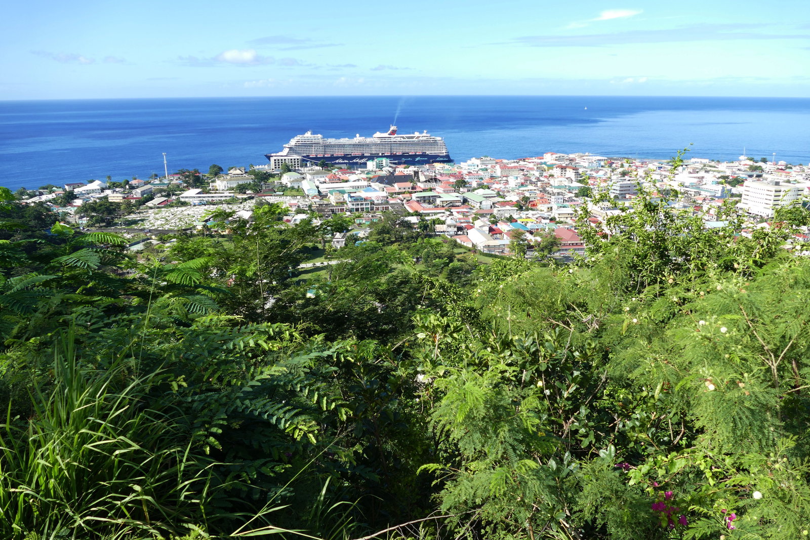 Historic Creole buildings with colorful facades in downtown Roseau, Dominica.