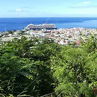 Roseau