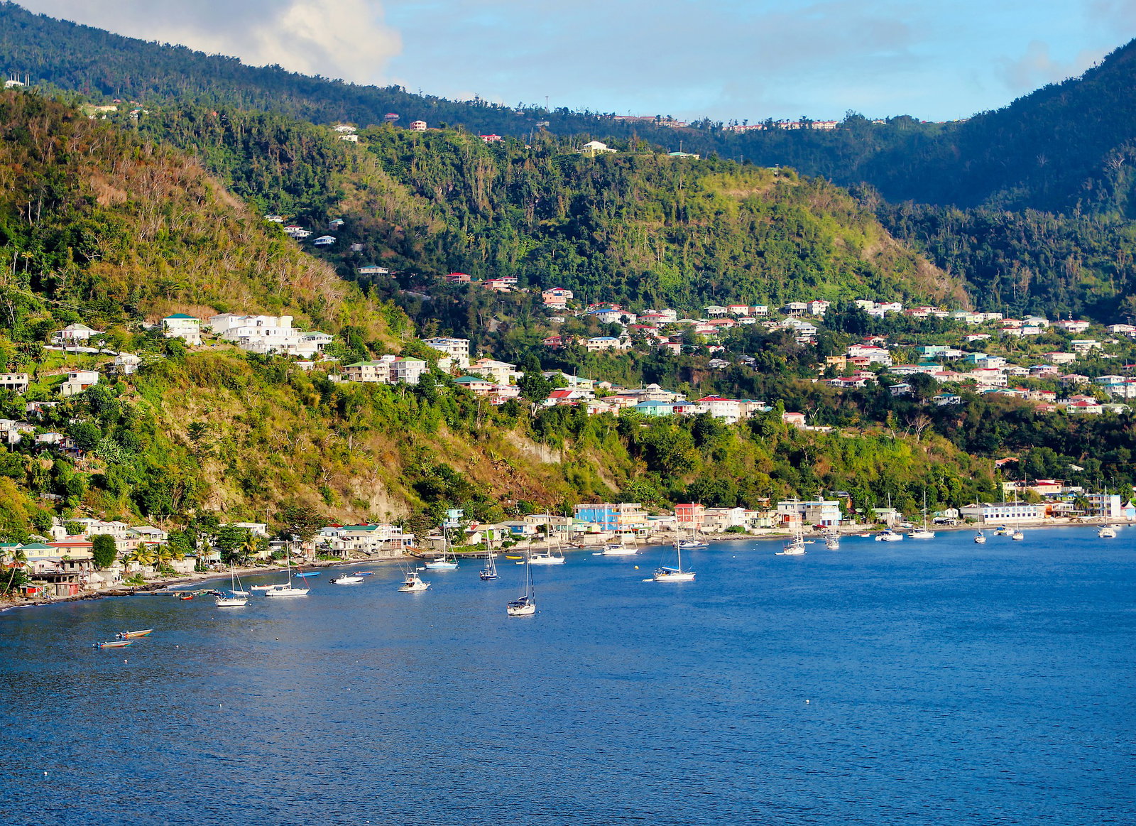DMRSU - Roseau, Dominica - Richard Todd.jpg