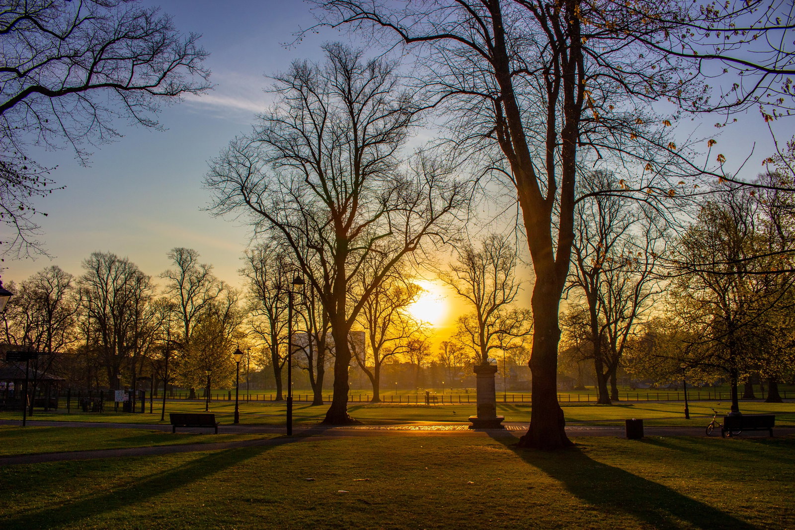 GBSOU - Southampton, England. Houndwell Park Mangopear Creative.jpg