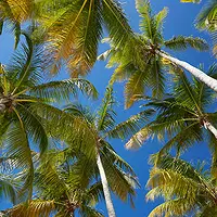 Pointe-à-Pitre