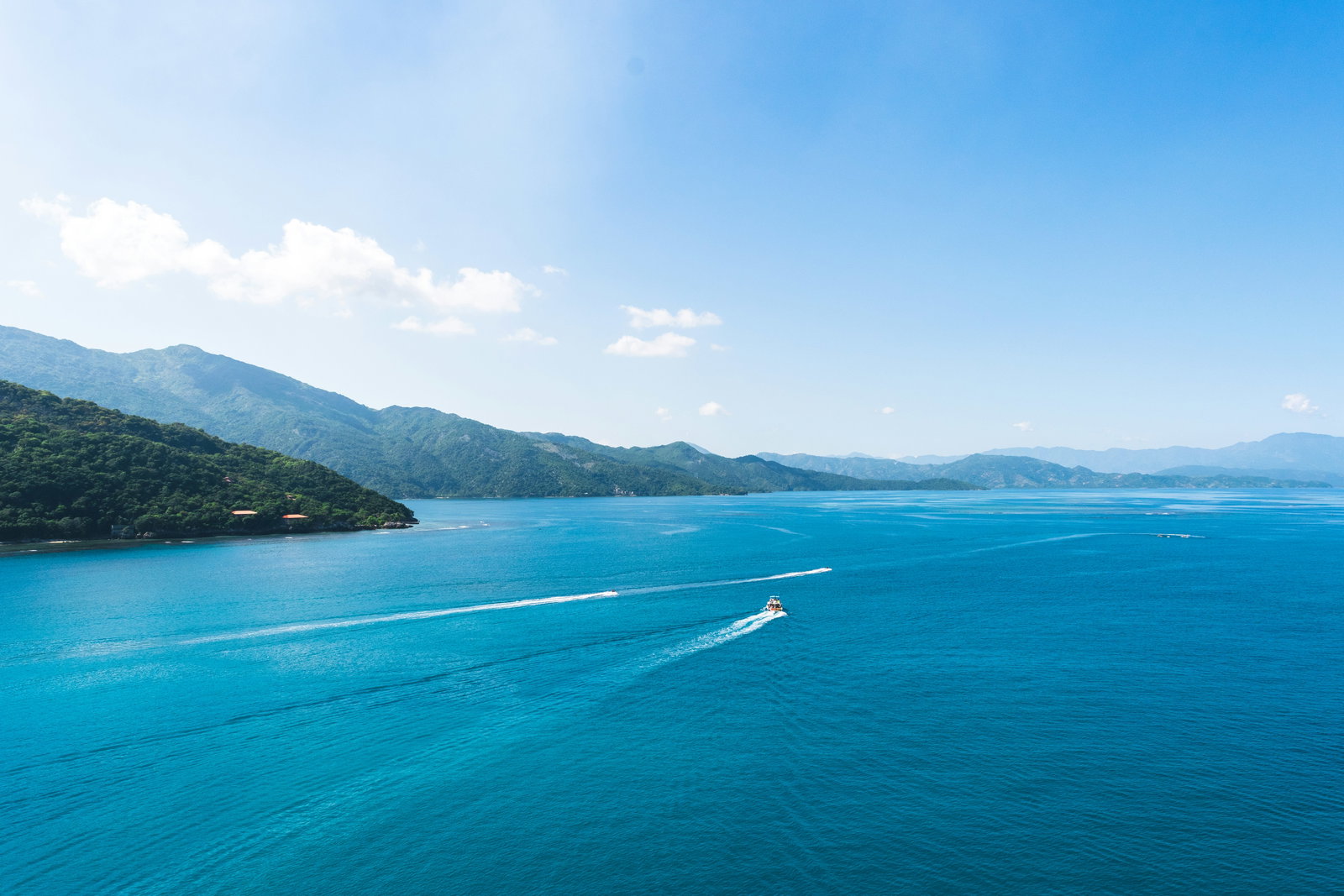 Cruise ship docked at a tropical beach with clear water and palm trees.