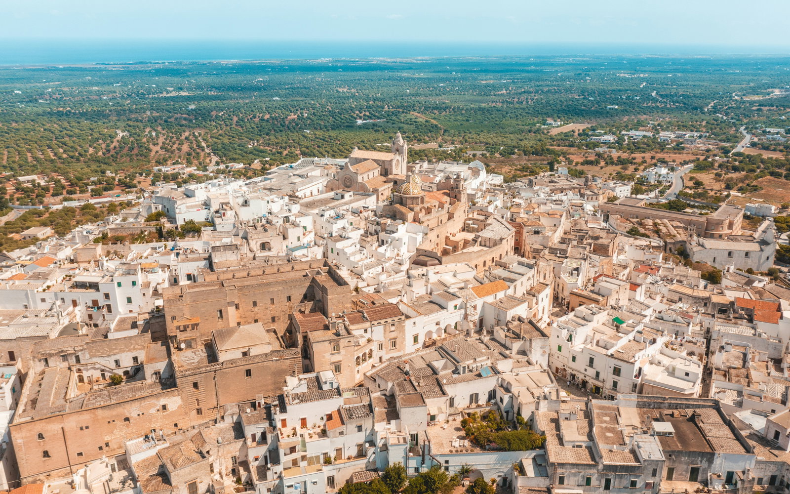 A sunlit village on a hilltop overlooking olive groves and the Adriatic coast.