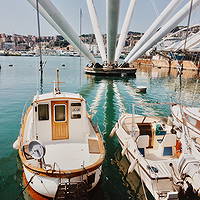 Genoa