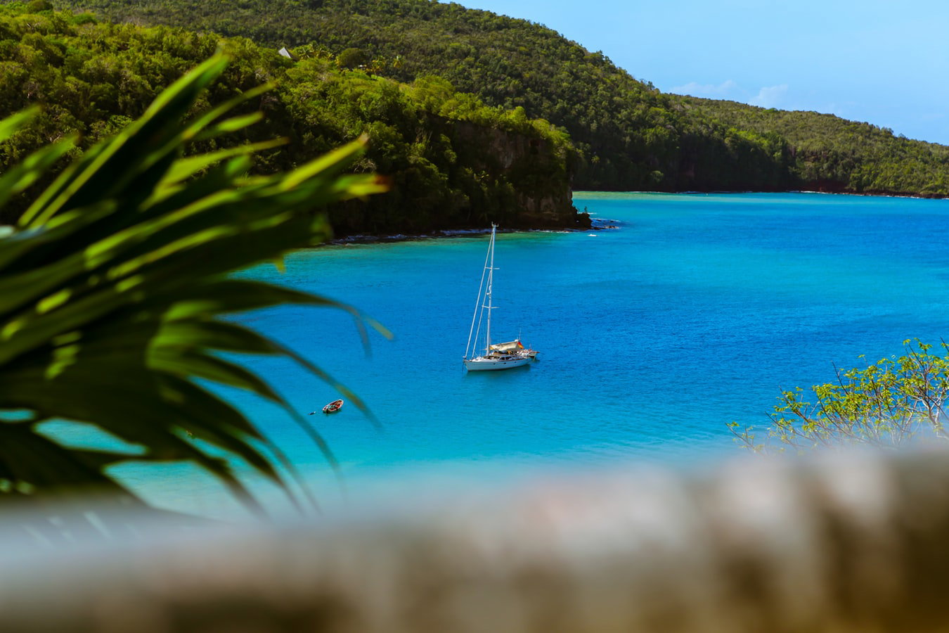 LCCAS - Castries, Saint Lucia - Photo credit Artem Pochepetsky.jpg