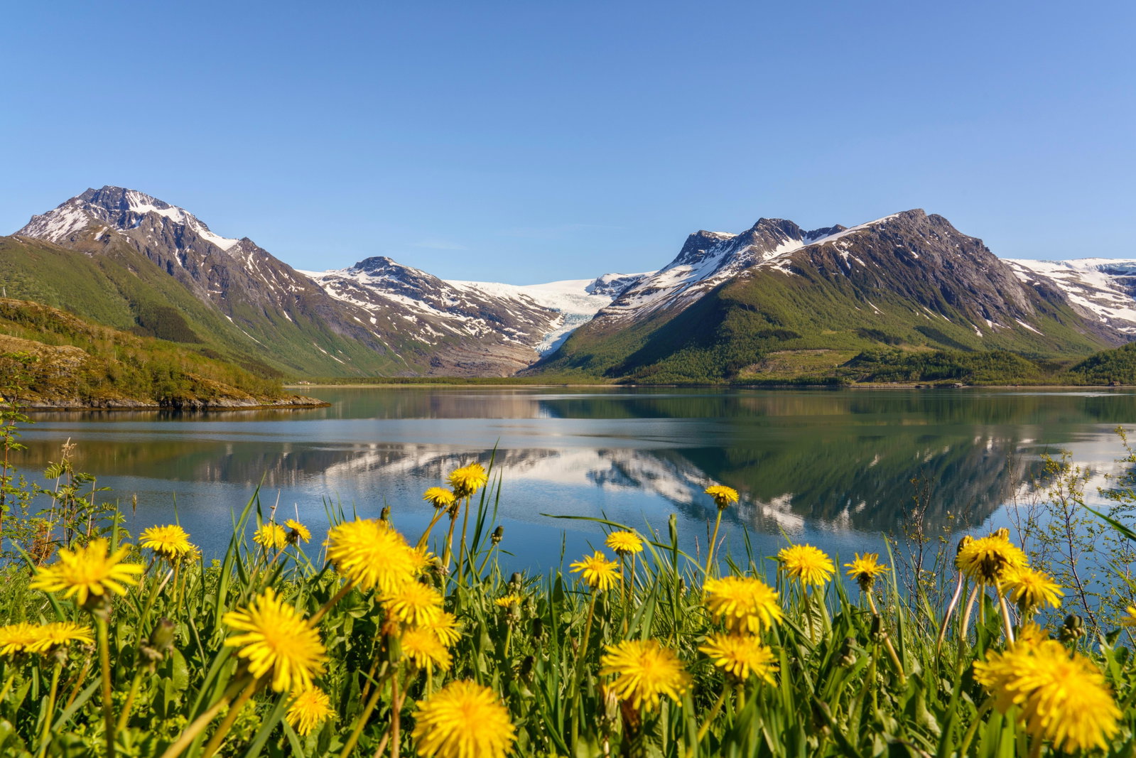 Måløy — Glacier, Maloy Muncipality