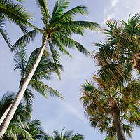 Fort Lauderdale, Florida