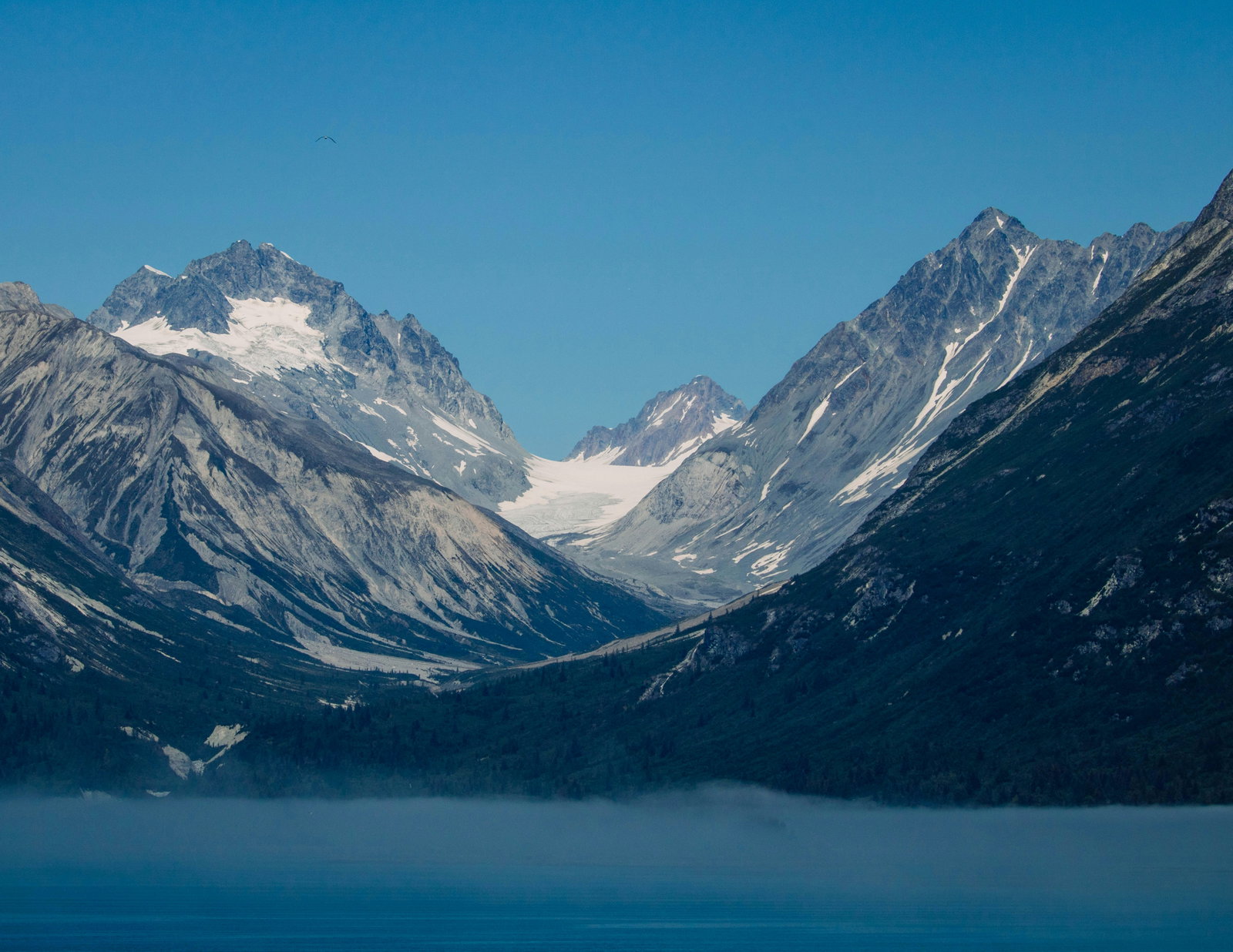 Cruise ship docked at a historic cannery with mountains and forests in the background.