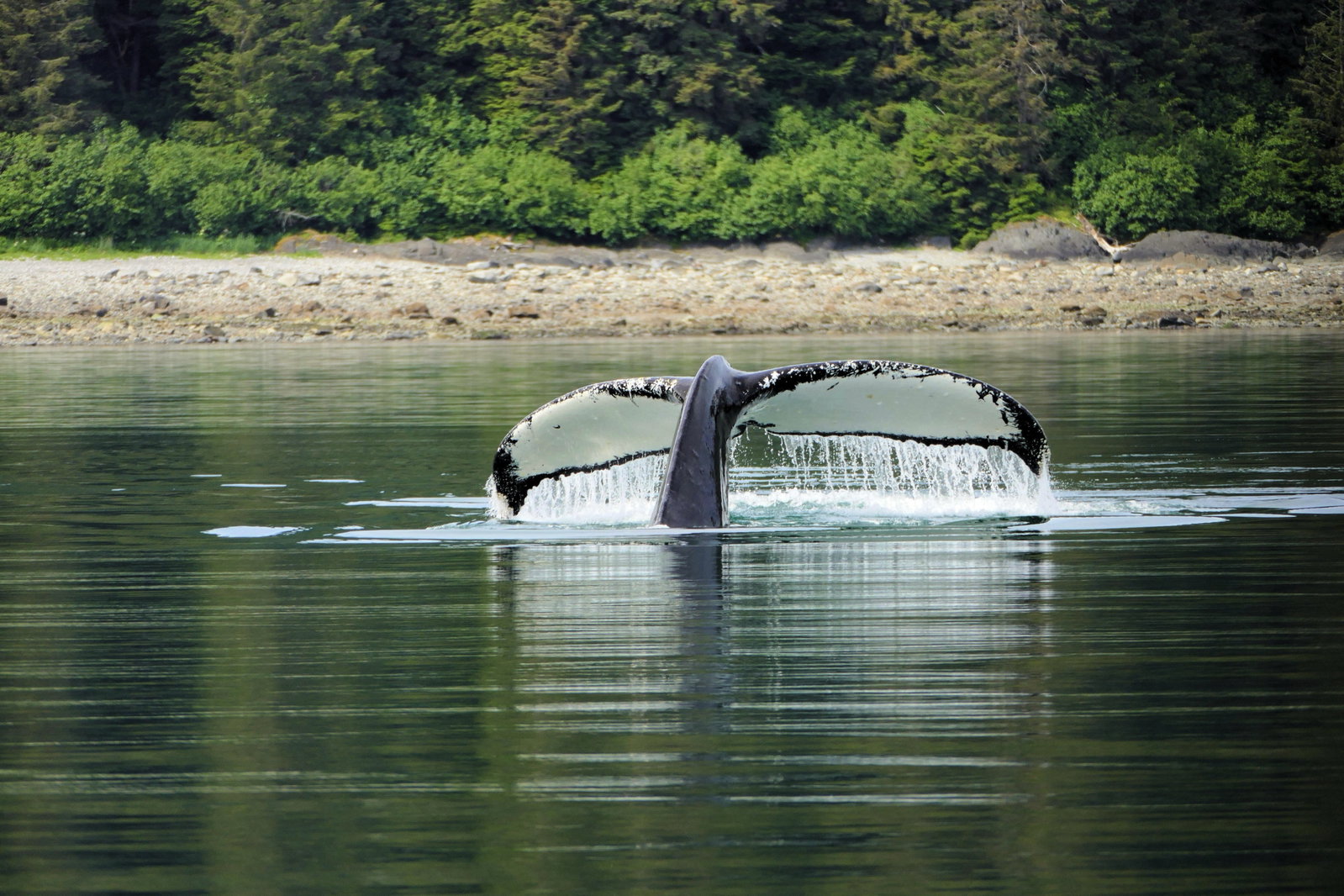 Icy Strait Point