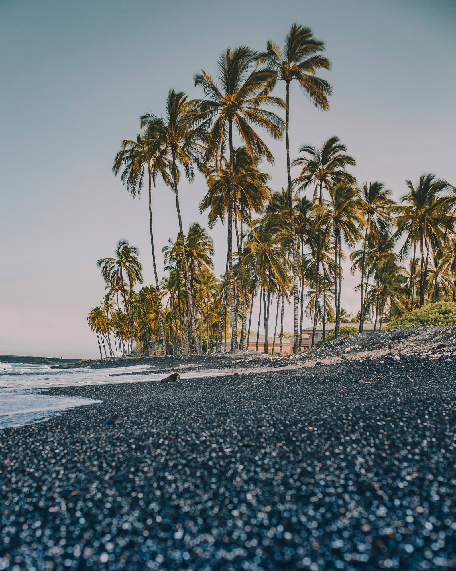 Historic Kailua-Kona waterfront with boats moored near the pier and palm trees.