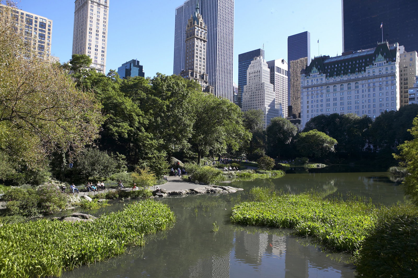USNYC - New York - Brooklyn Heights Promenade - Myrna Suarez, NYC & Company.jpg
