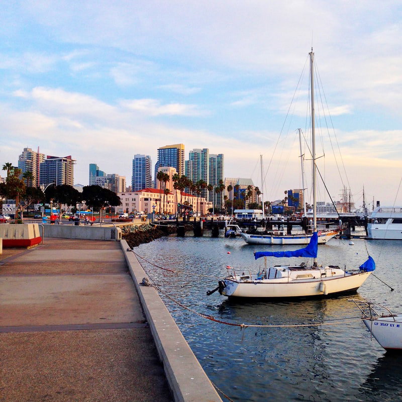 Cruise ship docked at a sunny San Diego port with city skyline.