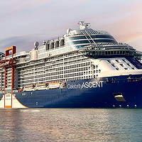 Celebrity or Royal Caribbean: Which of These Sister Brands Suits You?