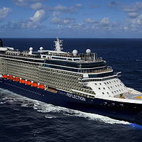 Celebrity Reflection