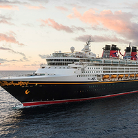 Disney Magic